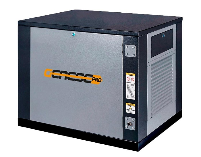 Газовый генератор Genese Standard 6250 Neva в кожухе