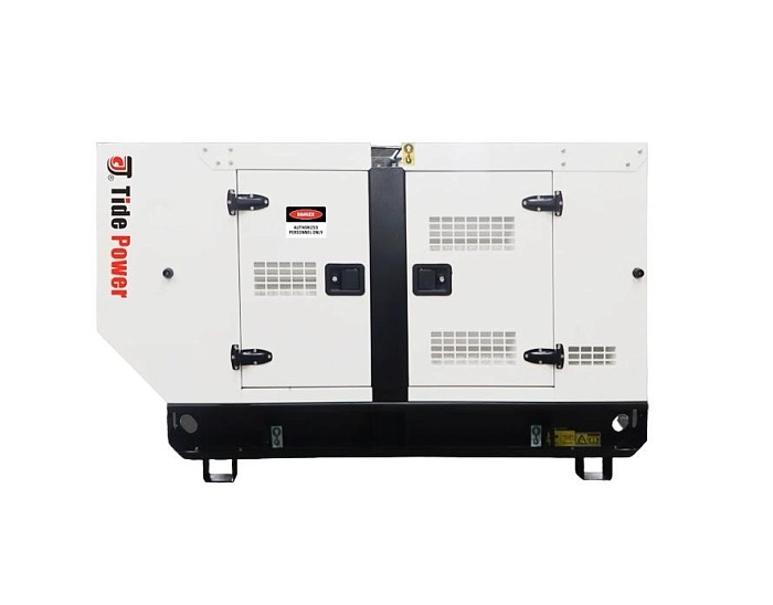 Газовый генератор Tide Power TLP313G с АВР